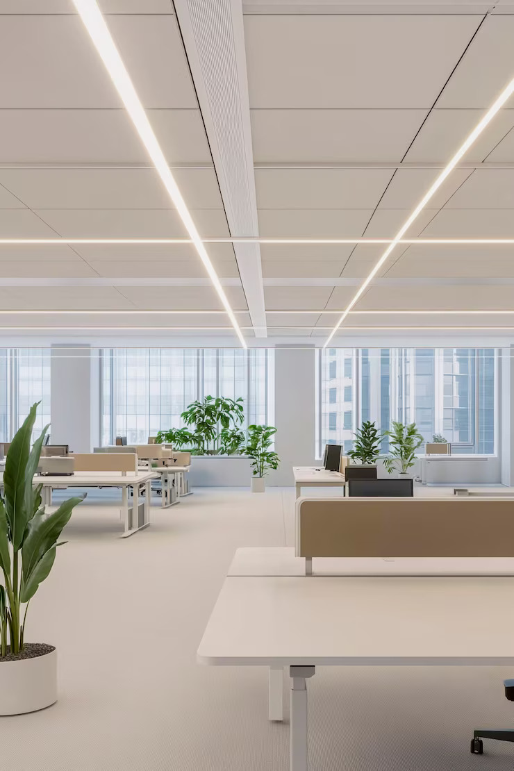 Clean and modern office space with natural light